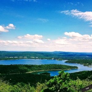 Meet your Posher, Tracee